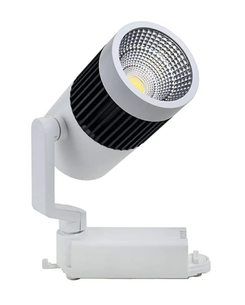 Warm White Led Spot Track Focus light