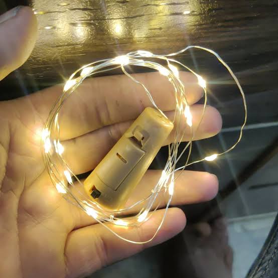 Wine Bottle Fairy lights